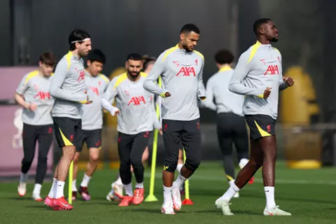 قبل مواجهة باريس سان جيرمان.. ليفربول يستعيد خدمات كودي جاكبو